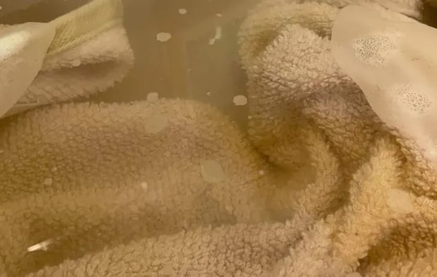 『つけ置き洗いしたタオル』の写真（撮影：Heulie）