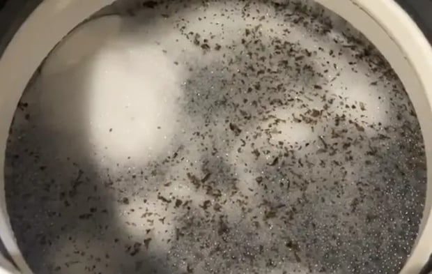 『洗濯槽の汚れ』の写真（撮影：Heulie）