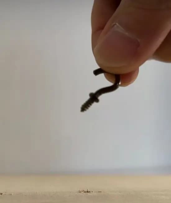 フックに使用している様子