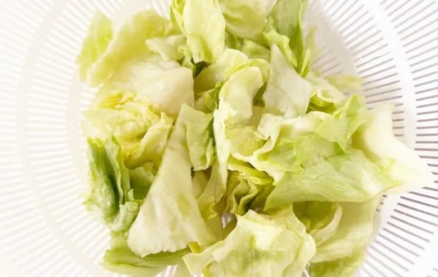 ちぎったレタスの画像（撮影：エニママ）