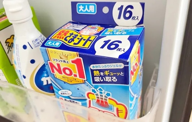 『熱さまシート』の写真（撮影：キジカク）