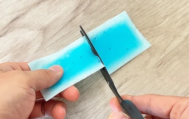 『熱さまシート』の使用写真（撮影：キジカク）