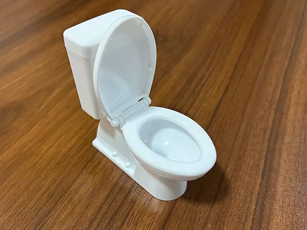 セリアの洋式トイレ型ミニチュアの写真（撮影：grapeライフハック編集部）