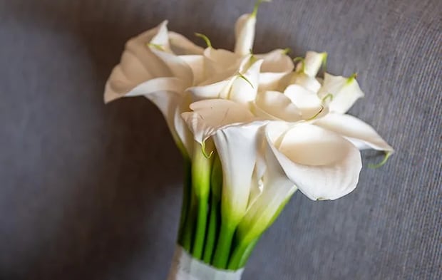 カラーの花束の写真