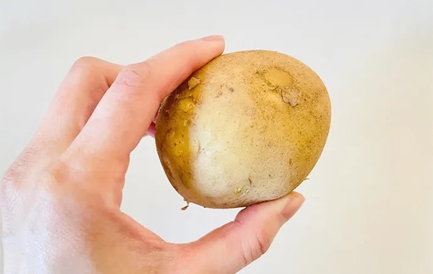 洗う前のじゃがいもの画像（撮影：エニママ）