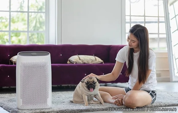 空気清浄機の横にいる女性とペットの写真