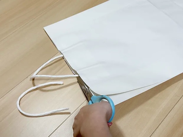 紙袋の画像（撮影：grapeライフハック編集部）