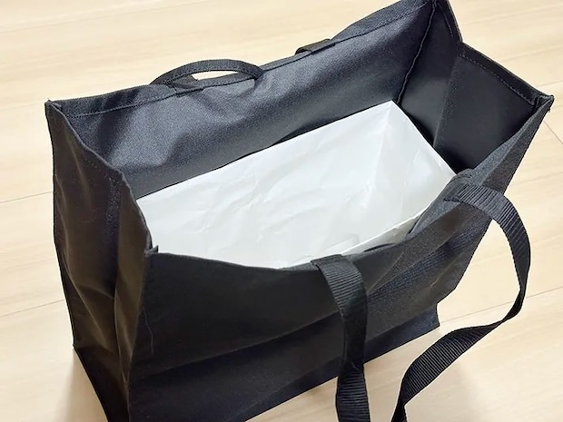 紙袋で作ったバッグインバッグをトートバッグの中に入れた画像（撮影：grapeライフハック編集部）