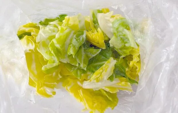 水気をきった春キャベツの画像（撮影：エニママ）