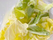 春キャベツを食べるならコレ！　5分でできる『レンチン』レシピに「食べやすい」「箸休めにぴったり」