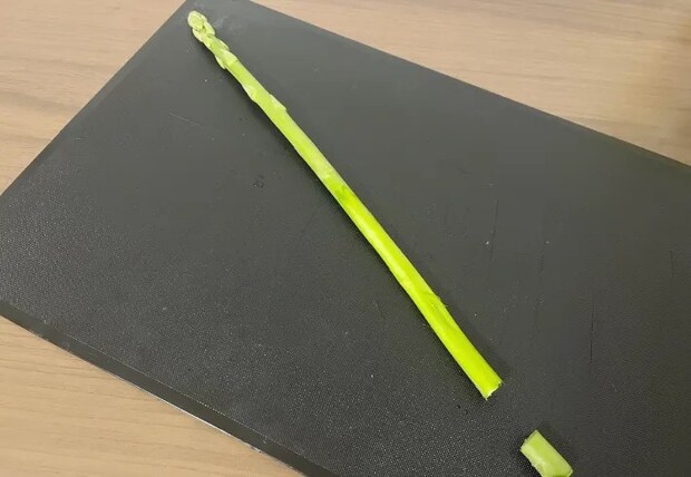 アスパラガスの根元をカットした画像（撮影：エニママ）