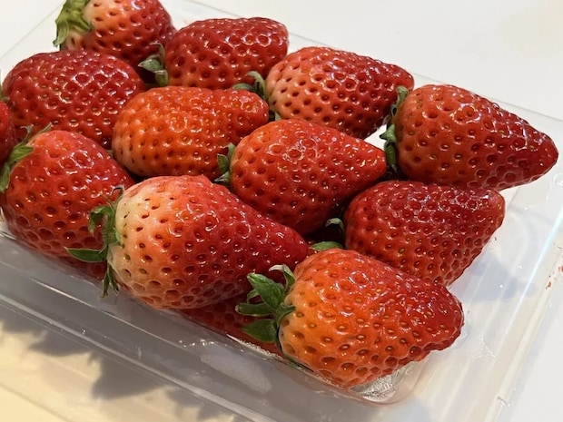 冷凍するイチゴに『ハチミツ』をかけると？　意外な変化に「知らなかった」「試してみる」【保存テク4選】