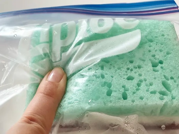 冷凍スポンジを1時間後に触った写真