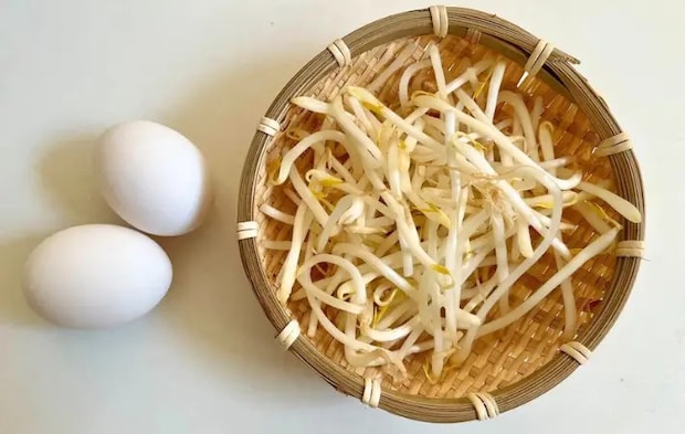 材料一部（撮影：エニママ）
