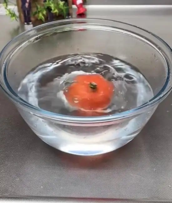 凍らせたトマトを水を張ったボウルに入れている様子