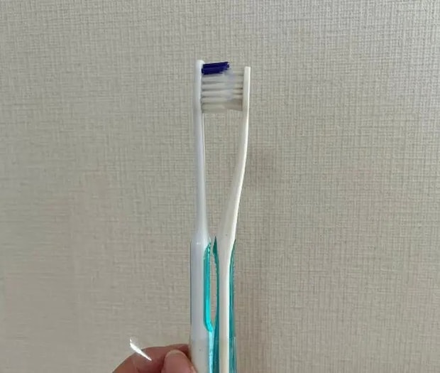 2本の歯ブラシを向かい合わせに持っている様子（撮影：grapeライフハック編集部）