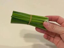 輪ゴムで留めたニラ　活用テクニックに「目からウロコ」「めっちゃ賢い」