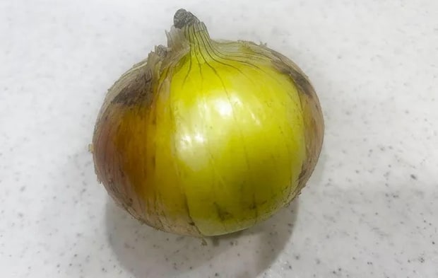 新玉ねぎの画像（撮影：エニママ）