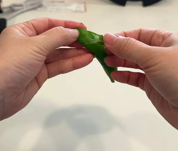 スナップエンドウの筋を取っている様子（撮影：grapeフード編集部）