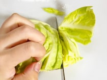 まだ浅漬けにしてる？　キャベツを一口大に切ったら…高級ドレッシングのような味わいに！