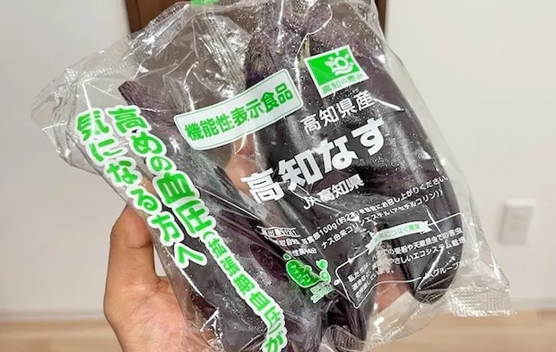 『ナス』の写真（撮影：キジカク）