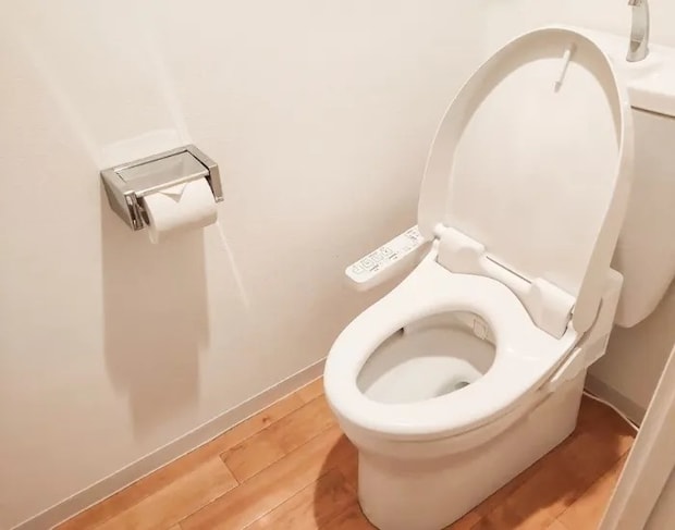 トイレの蓋が開いている様子