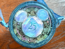 ディズニーシー限定ポップコーン入れがキラキラで即買い決定！　『あるある』の悩み解決の裏技も紹介