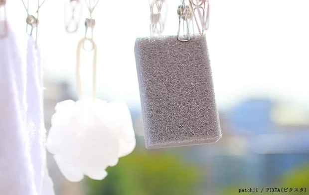 紫外線でスポンジの除菌を行う写真