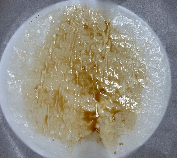 ライスペーパーに醤油を塗る（撮影：grapeフード編集部）