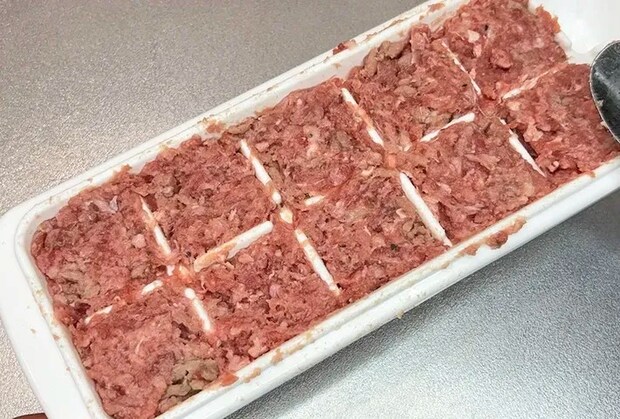 肉ダネを詰めた製氷皿の写真（撮影：キジカク）