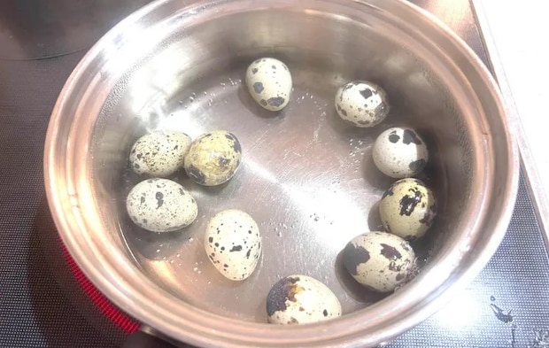 茹ででいるうずらの画像（撮影：エニママ）