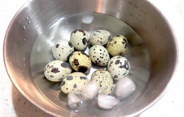 氷水に入れたうずらの画像（撮影：エニママ）