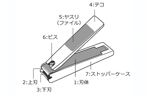 爪切りの部位の名称の画像