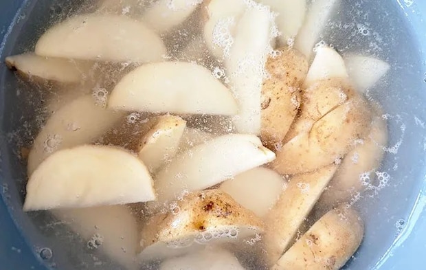 水に漬けている画像（撮影:エニママ）