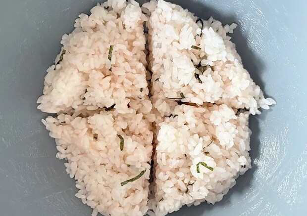 米を4等分にした画像（撮影：エニママ）