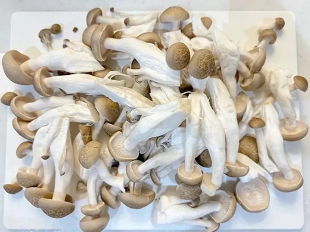 材料を炊飯器にドーン！　味付けはめんつゆだけの炊き込みご飯に「月2で作る」