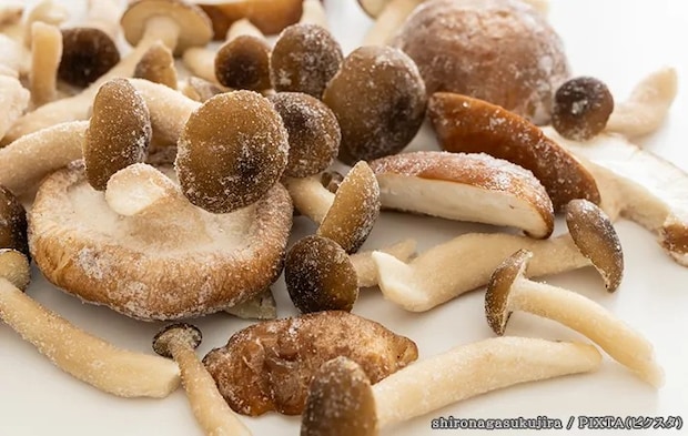 冷凍したキノコの写真