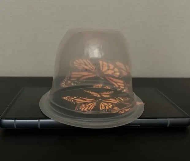 3Dホログラム動画の上に容器を被せた様子（撮影：grapeライフハック編集部）