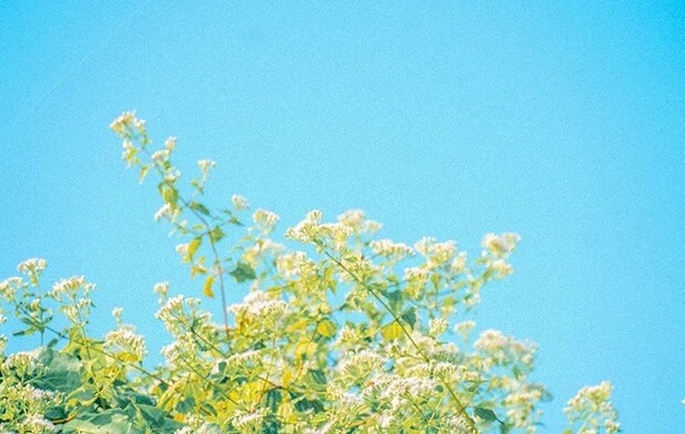 晴れた空の写真