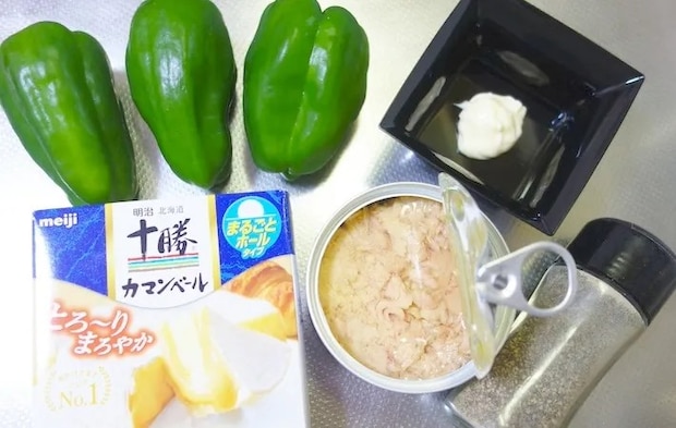 材料の画像（撮影：エニママ）