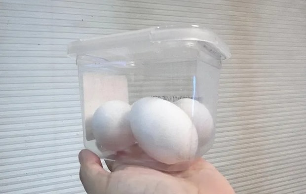 ゆで卵を入れた画像（撮影：エニママ）