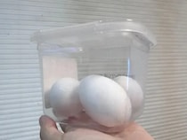 味噌の空容器、捨てないで！　『味噌のフタ』を使った冷蔵庫収納【活用法3選】