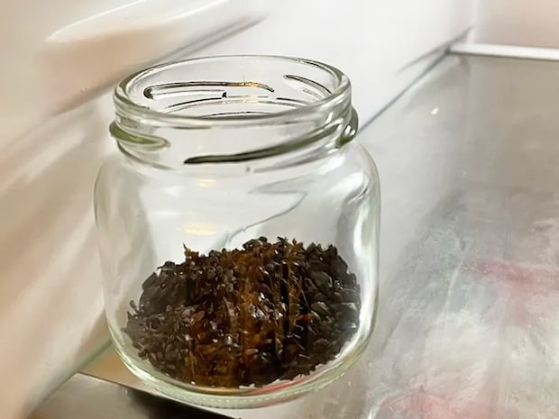 麦茶パックの中身を消臭剤として使う写真（撮影：grapeライフハック編集部）