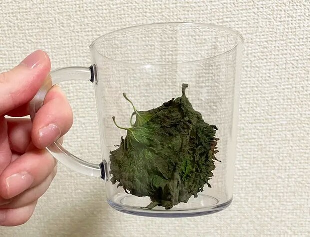 大葉を器に入れた写真（撮影：grapeフード編集部）