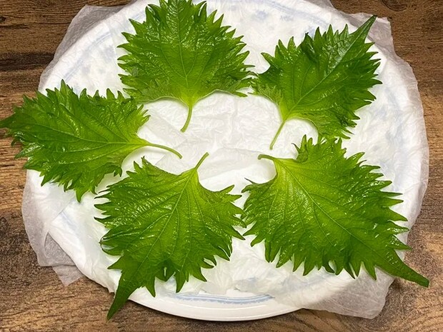 大葉を耐熱皿に並べる写真（撮影：grapeフード編集部）