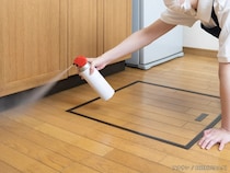 家具を運び込んだ後では遅い？　引っ越し時にやっておくべき『効果的な害虫対策』