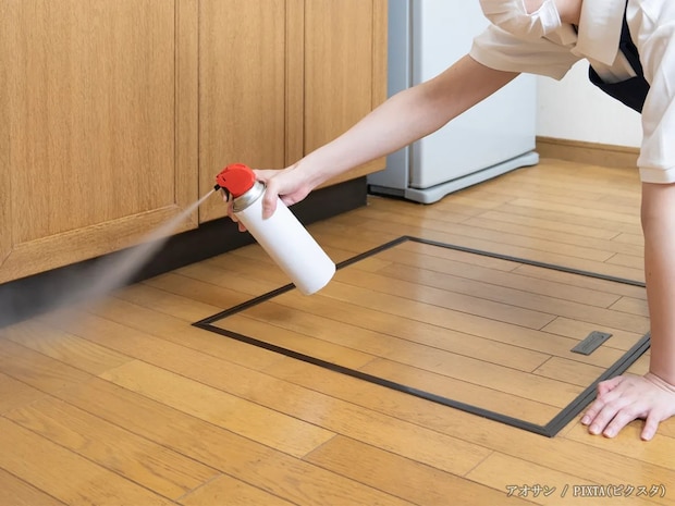 家具を運び込んだ後では遅い？　引っ越し時にやっておくべき『効果的な害虫対策』