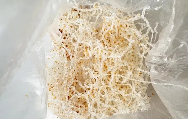 コンソメ味の画像（撮影：エニママ）
