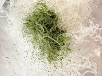 使う食材は春雨だけ！「無限に食べられる」夫が大好きな『春雨揚げ』