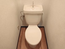 掃除用品が丸見え…そんな悩みは100均で解決！　作って正解だった『可動式棚』の活用術【収納テク4選】